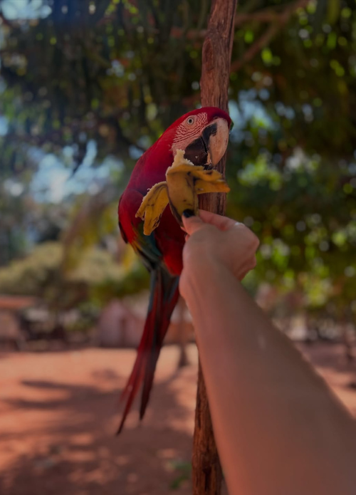 Chapada das Mesas, Maranhão